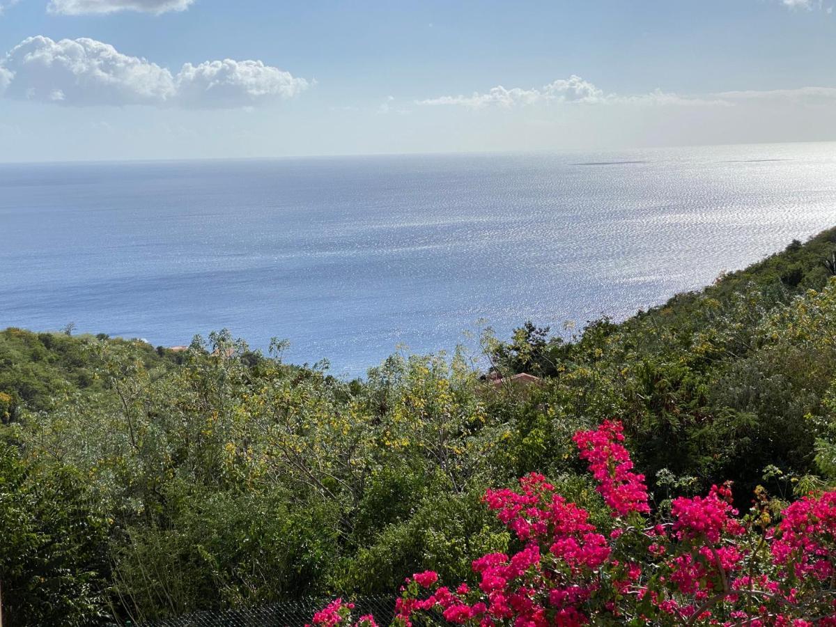 Fond BoucherLocations Morne Aux Ventsアパートメント エクステリア 写真