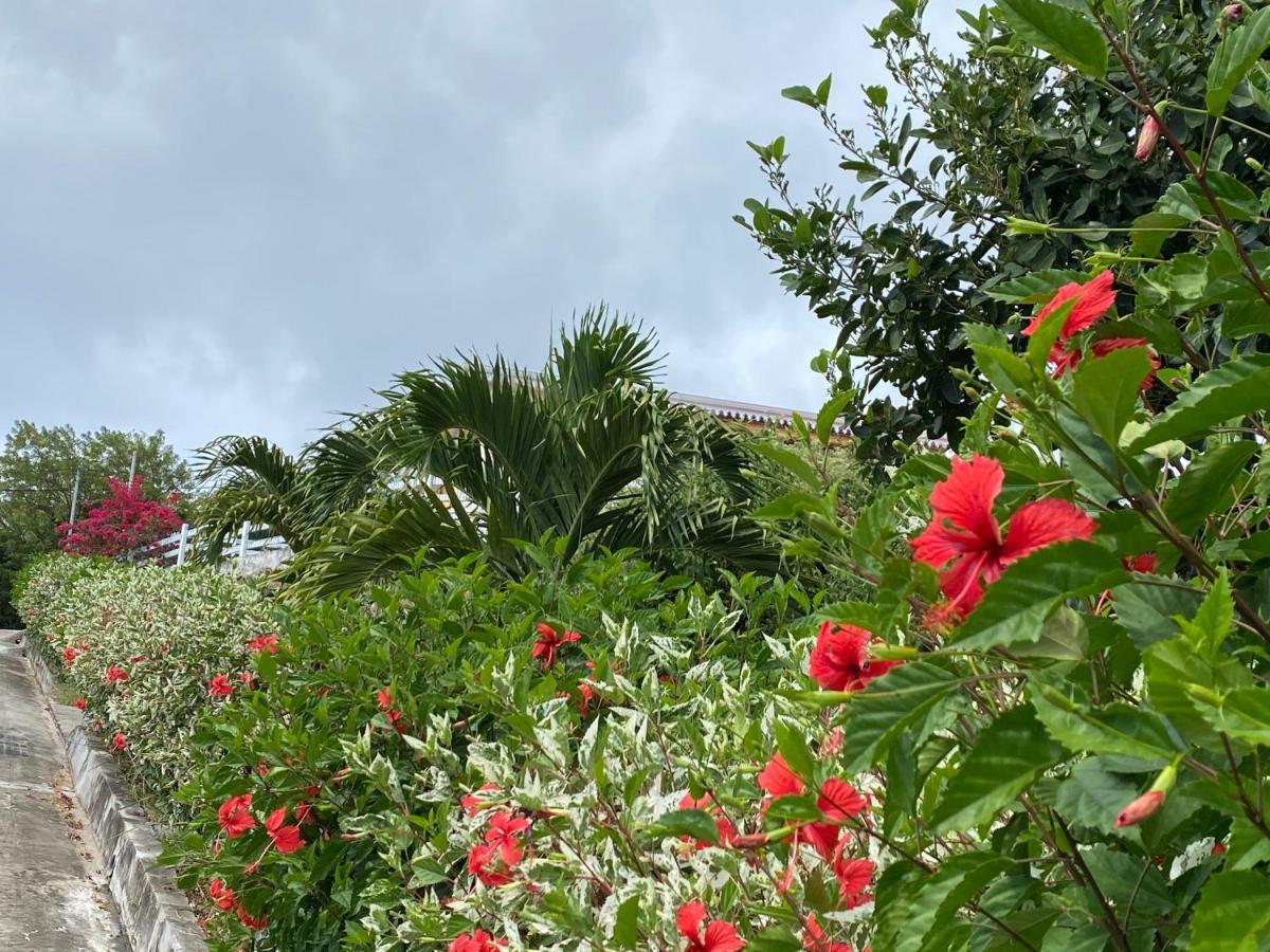Fond BoucherLocations Morne Aux Ventsアパートメント エクステリア 写真