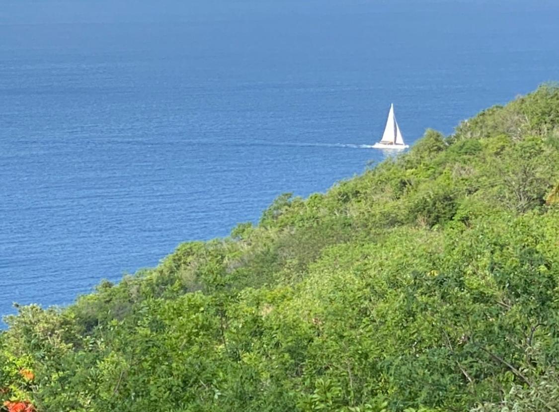Fond BoucherLocations Morne Aux Ventsアパートメント エクステリア 写真